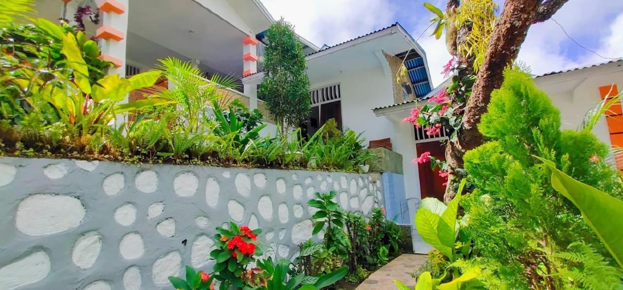 Bintang Bungalow Tour & Travel Kelimutu Esterno foto